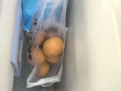 -首都医科大学宣武医院