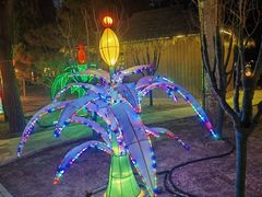 -南宫五洲植物乐园