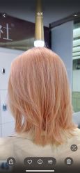 -镁连社·美联社