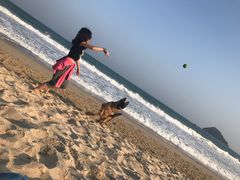 -西涌国际滨海旅游区