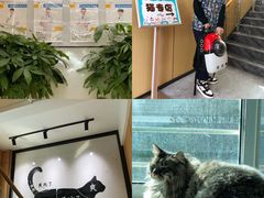 -pd派德宠物中心医院24H急重症·眼科中心·血液透析中心(嵩山北路店)