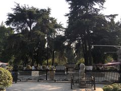 -易记皮肚面(明瓦廊店)