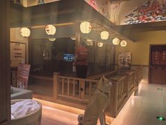 -大江户·温泉洗浴(浑南店)