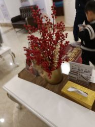 -顺德壹加壹美容医院