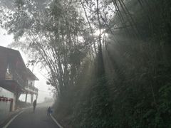 -靖西鹅泉风景区