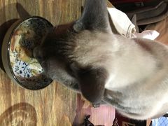 Mikaku(万达店)-MIKAKU(万达广场上海宝山店)