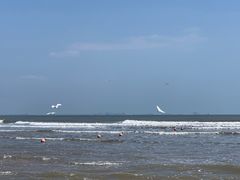 -日照海滨国家森林公园