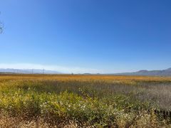 -野鸭湖国家湿地公园