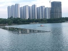 -南翔镇银翔湖公园