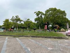 -上海都市菜园