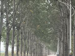 -香木香羊(小汤山店)