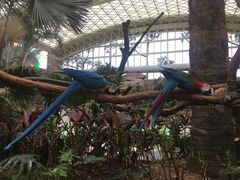 -杭州开元森泊度假乐园