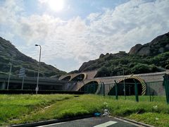 -洋山深水港