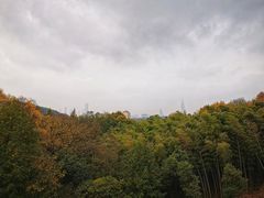 -紫金山山顶公园