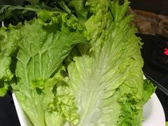 -老诚一锅羊蝎子(黄寺大街店)