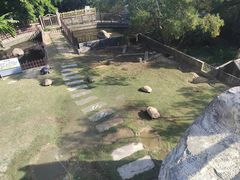 -广东惠东海龟国家级自然保护区