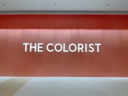 -THE COLORIST调色师