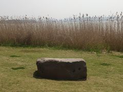 -苏州东太湖生态园