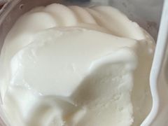 -洪馨椰子