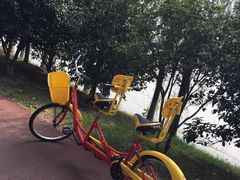 -艾溪湖湿地公园