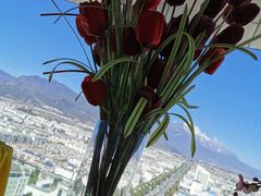 -官房大酒店-玉龙旋宫观景餐厅