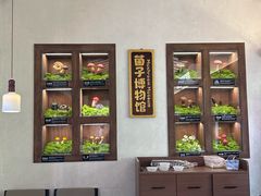 -菌自由丨野生菌火锅特色庭院餐厅(丽江古城店)