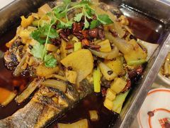 -沈姐万州烤鱼(沙坪坝七中店)