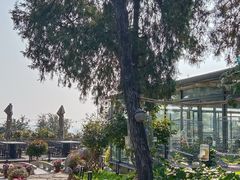 -蘇河湾·新鲁菜·泰山宴(泰山店)