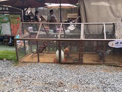 -HERRE·FARM 赫尔露营农场·团建聚会包场