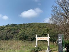 -龙寺生态园