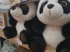 -熊猫邮局(少城店)