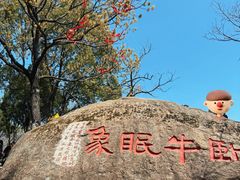 -灵岩山风景区