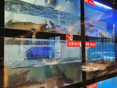 -万和源炝锅城·活鱼现炝(文艺北路店)
