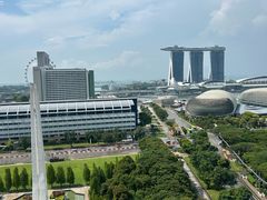 -新加坡瑞士史丹福酒店