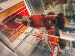 -济州岛泰迪熊博物馆