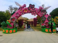 景点-武汉紫薇都市田园