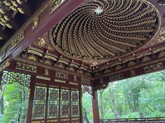 -汇龙潭
