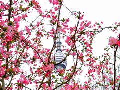 -龟山风景区-龟山电视塔
