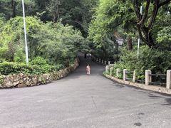-北山公园