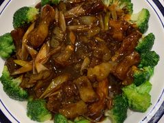 大乌参焖蹄筋-老人和饭店(淮海中路店)