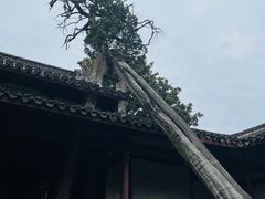 -太平天国侍王府