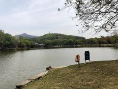 -番禺大夫山森林公园