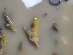 -逸林轩中餐厅(中信泰富朱家角锦江酒店)