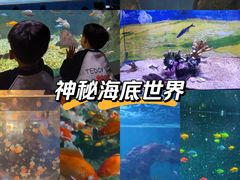 -常州海昌海洋探索馆