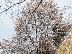 -颐和路民国时期公馆风貌区
