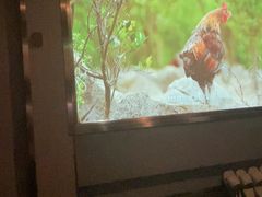 -陆琴脚艺·足浴·SPA(中华路店)