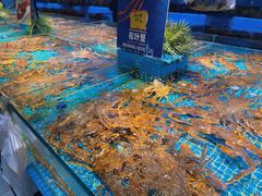 -驻海渔市(置信店)