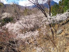 -阳台山自然风景区
