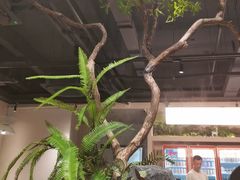 -情妹耙泥鳅·江湖川菜(科华店)