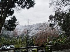 -青城山